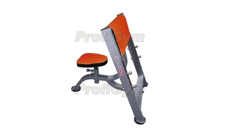 Scott Bench for Biceps Training SK-0150-H
