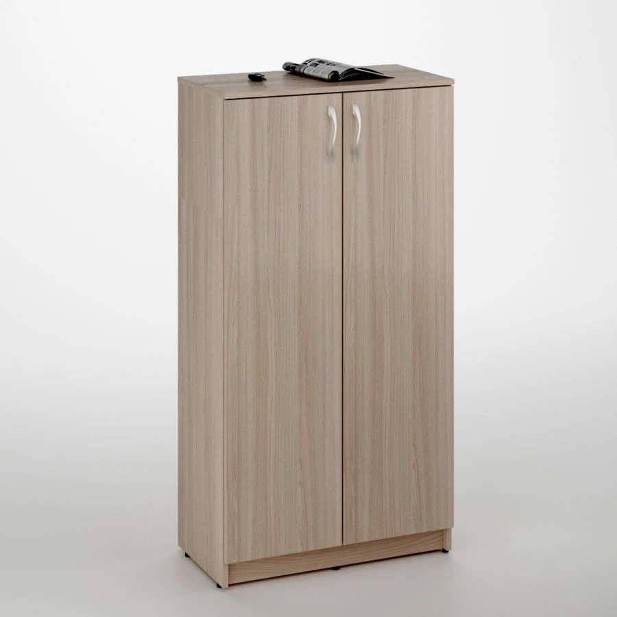 Low Document Cabinet with Two Shelves