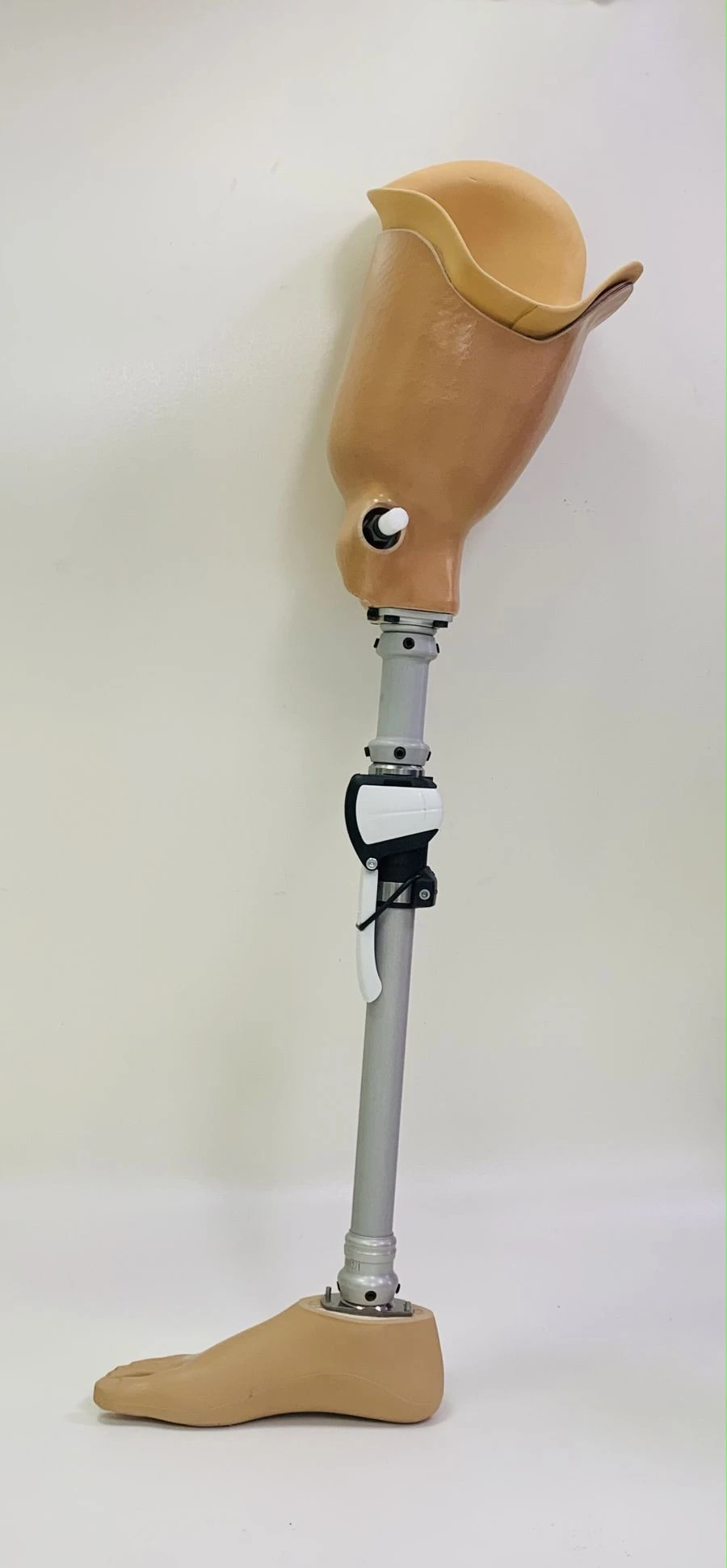 Bathing Hip Prosthesis PN6-T