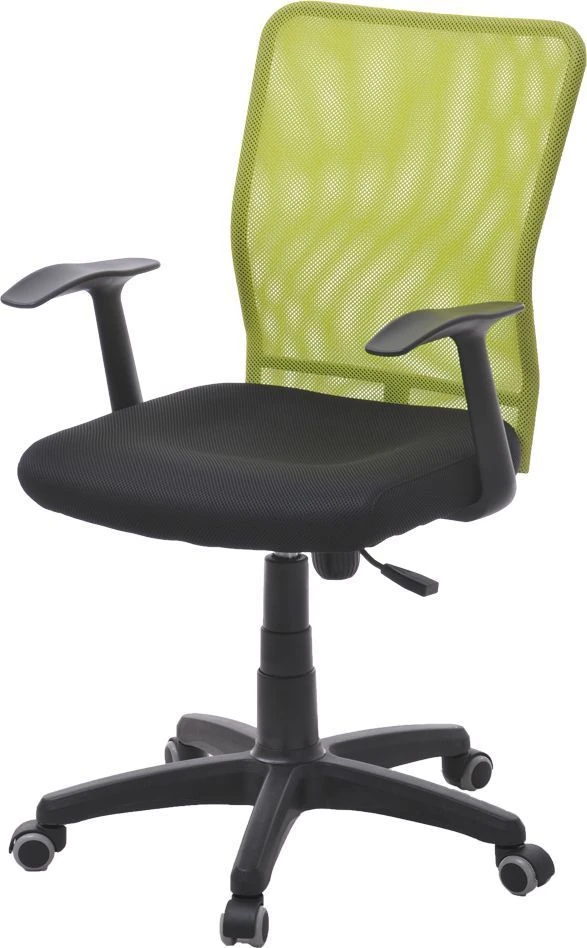 Ergonomic Alpha Chair for Comfort and Support