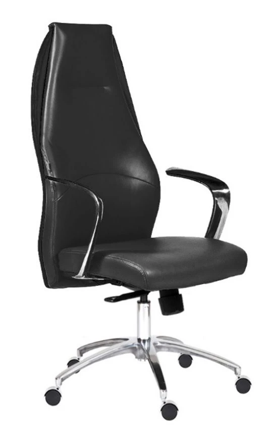 Echair 554 Seating Chair with Metal Frame