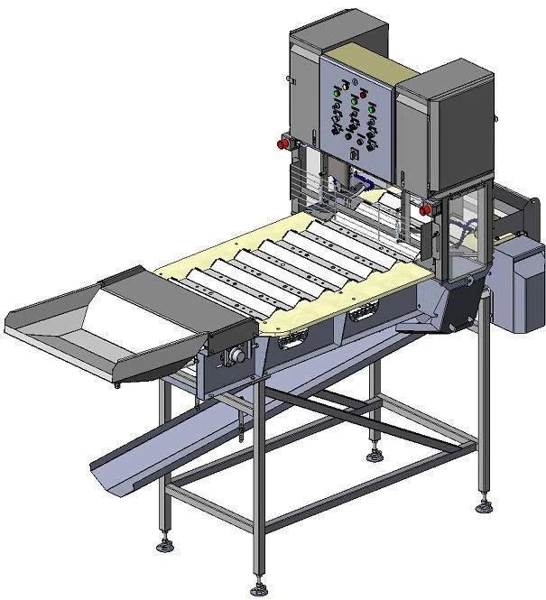 Automatic Salmon Head Cutter for Medium Fish - DALU.OGL.00.000-100