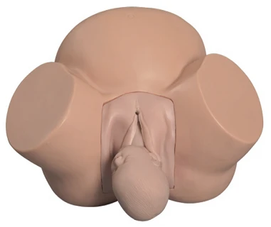 نموذج الممارسة التوليدية، رقم GP6613/8