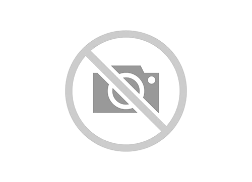 Intem-Procto Thermomagnetic Device for Rectal Disease Treatment LPR-941519.002 TU