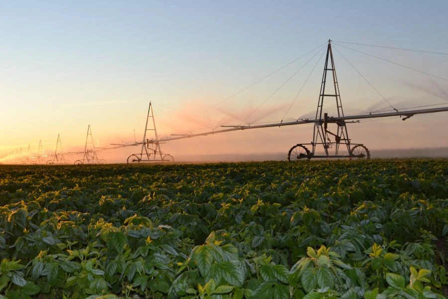 KORVET" Irrigation Machine Model DMUM-12A-337