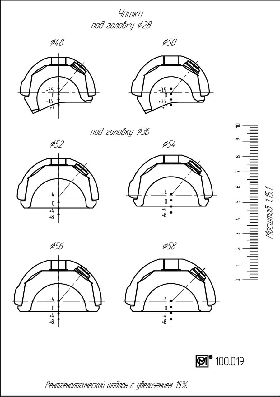 Total Hip Prosthesis Component Template, Model 100.019