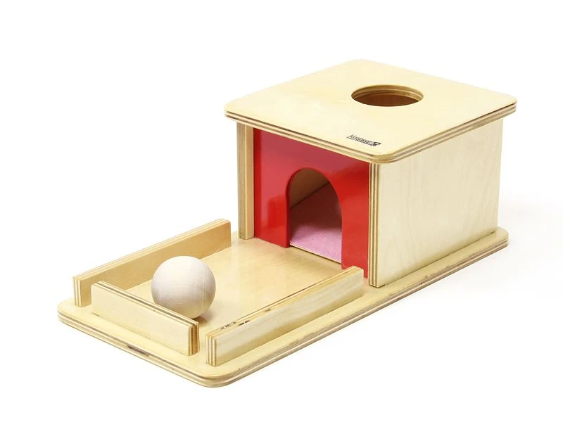 Wooden Box with Ball Educational Toy