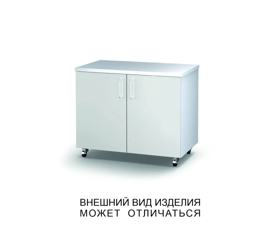 Rolling Cabinet with Swing Doors
