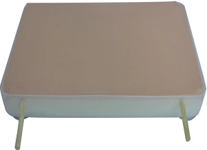 Hemostasis Practice Model CS6213