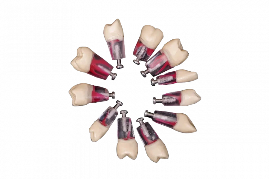 مجموعة أدوات الأسنان الداخلية للطراز القياسي، 28 قطعة PD-NEZ M28