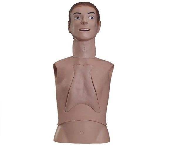 Trachea Intubation and Nasogastric Tube Training Manikin Model 80