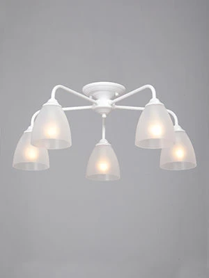 ضوء عام ثابت V3946-0/5PL