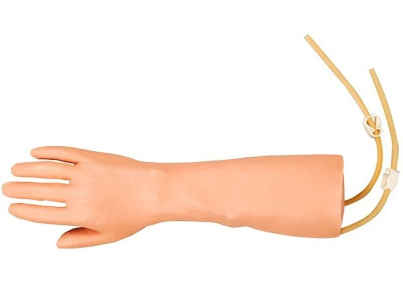 Life-size Injection and Blood Transfusion Model S4A