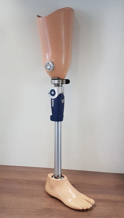 Modular Hip Prosthesis 8-07-10 for Congenital Deficiency