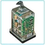 ريل نبضي إيف جي سي - في