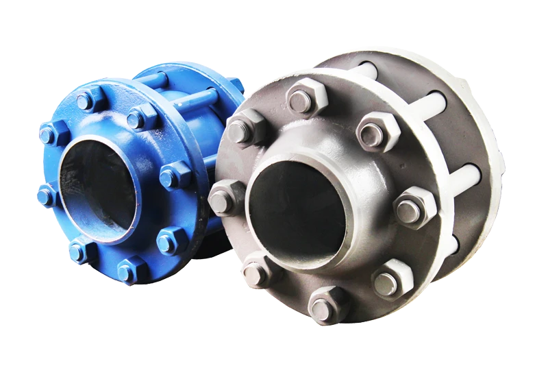 Backflow Preventer Valve for Pipeline Systems