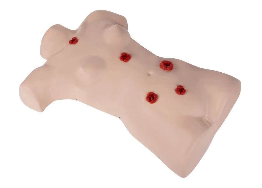 Human Torso Phantom Model for Stoma Care ZK-19
