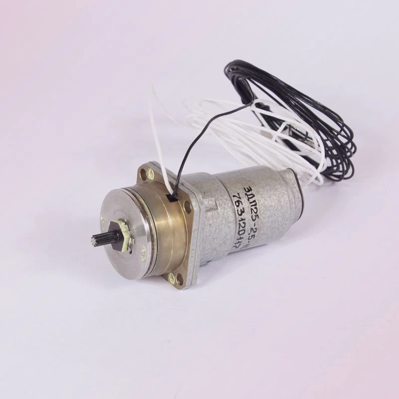 DC Electric Motor 3DP25-2.5-10-1