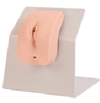 Female Catheterization Training Model, Art. 28F