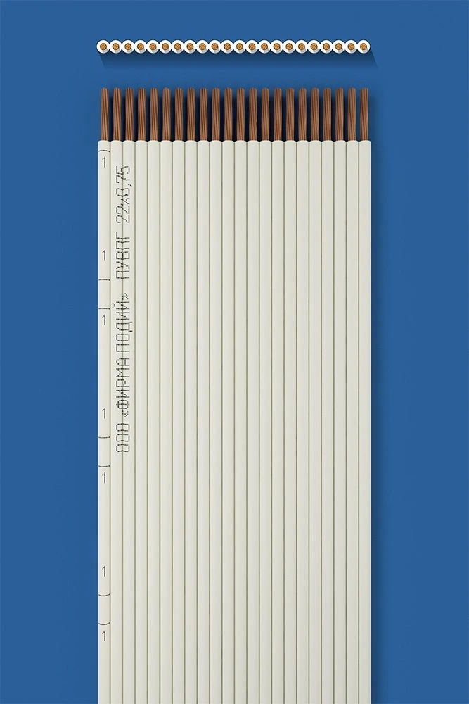 سلك تركيب مسطح PUVPG 22x0.75