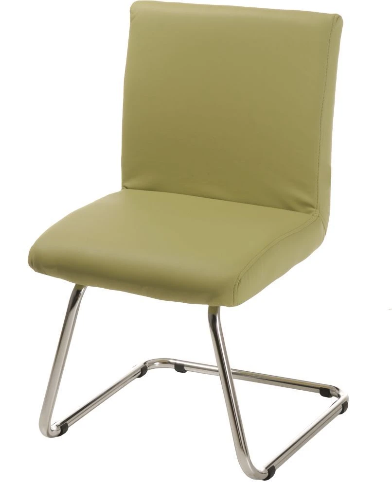Comfortable Altair Chair for Home and Office Use