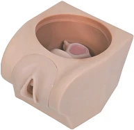 Intrauterine Contraception Training Model, Art. GP6654 / T33B