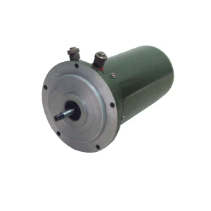 DC Motor ERM-96G "M" for Special Purpose Mechanisms