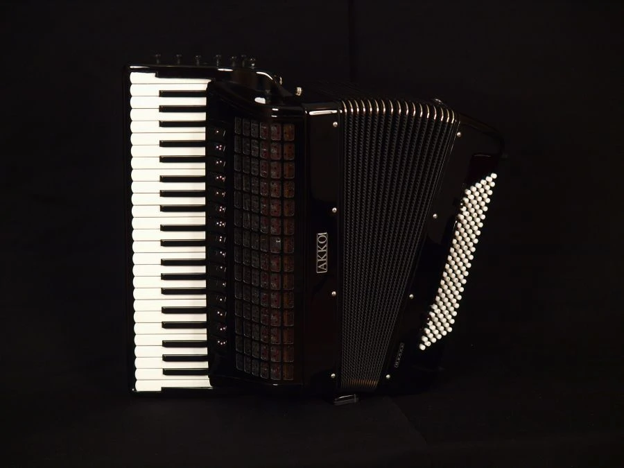 Irina Accordion AKKO - 4-Voice with 15 Registers