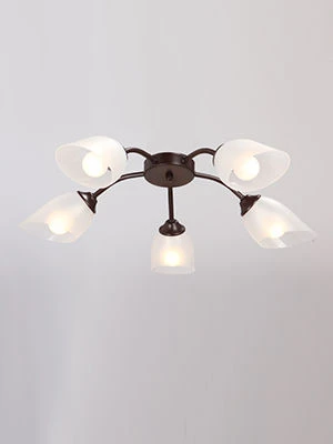 ضوء ثابت للاستخدام العام V3750-7/5PL