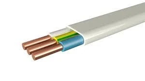 Power Cable with Copper Conductors and PVC Insulation, BVG-P-0.66-TU