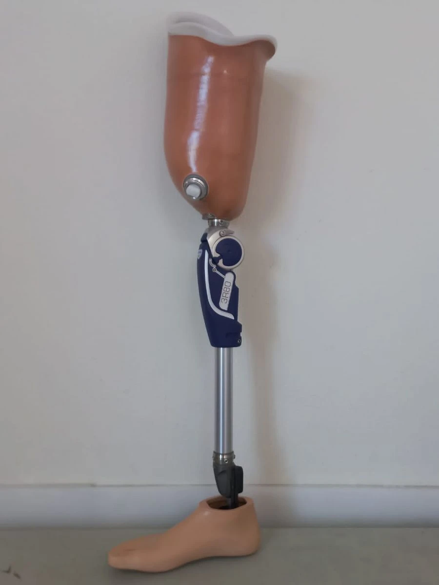 Modular Hip Prosthesis for Lower Limb Amputation PN6-M.1