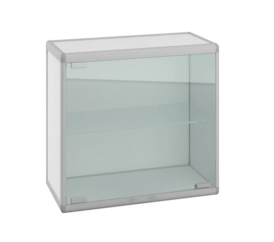 Standard Series Laboratory Wall Cabinet: SHN.01.01