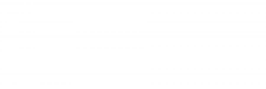 Hydraulic Press for Cold and Hot Stamping, Model PVR 2500