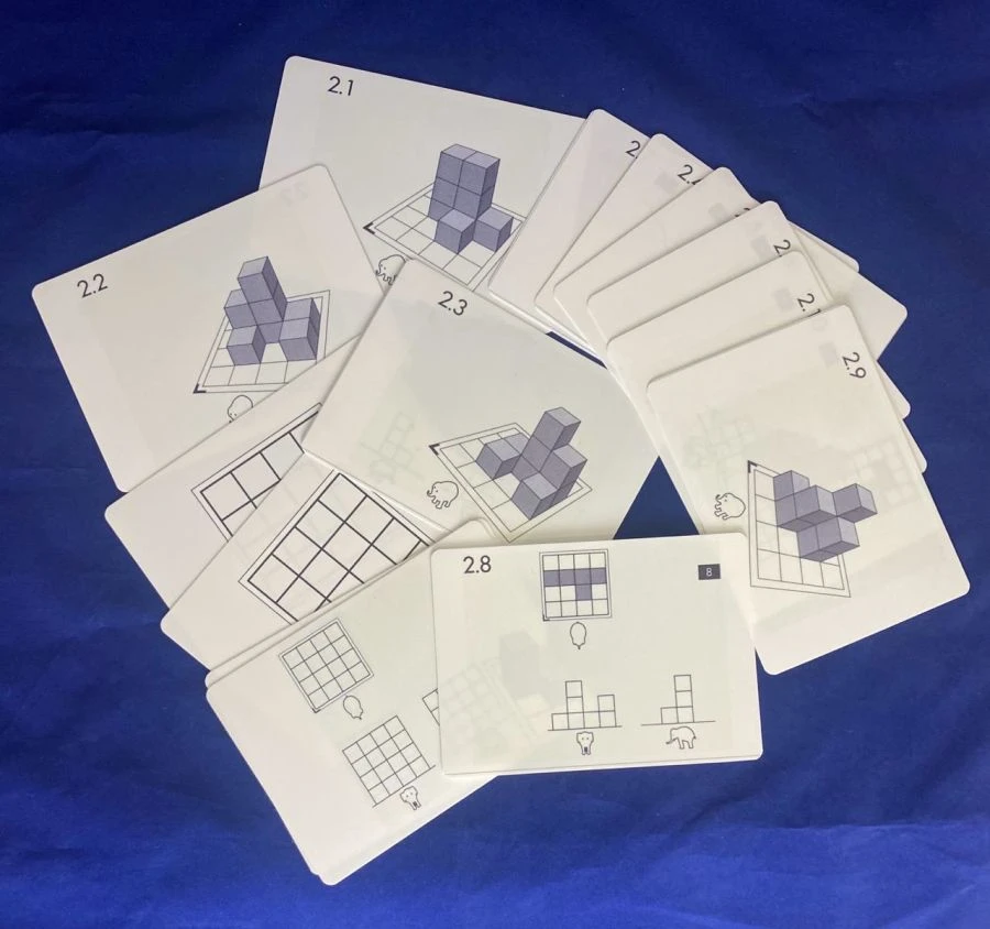 Task Cards for Unpainted Wooden Cubes Set No. 2