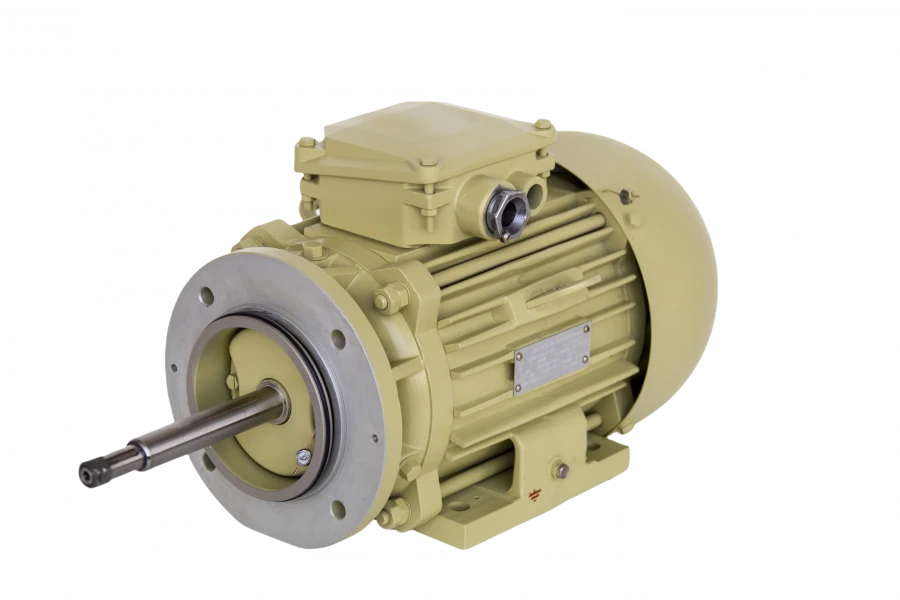 2DMSh 90 Three-Phase Asynchronous Motor 0.25-0.75 kW