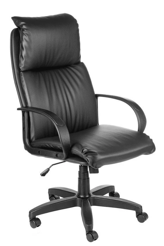 Elegant Executive Chair Nadir for Small Business and Mid-Level Management