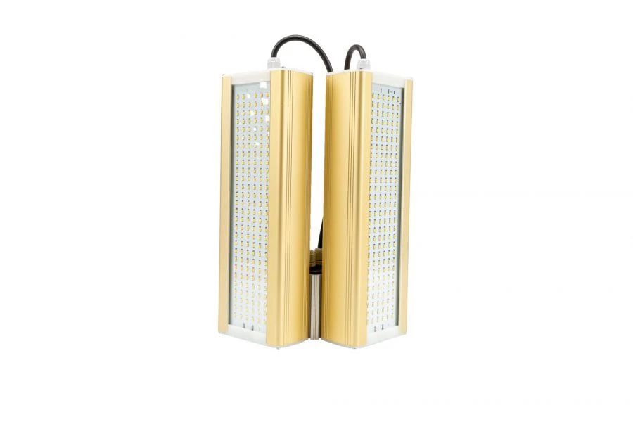 LED Module Light GOLD KM2-2, 5000K, 124W