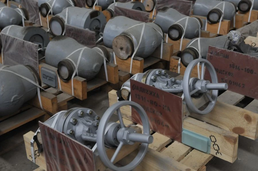 صمام بوابة 883-250-سي ز ب-01 DN250/PN13.7م.ب