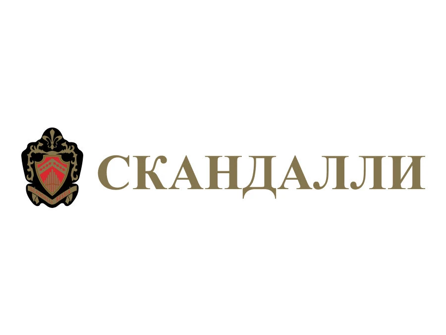 Chromatic Accordion Musical Instrument