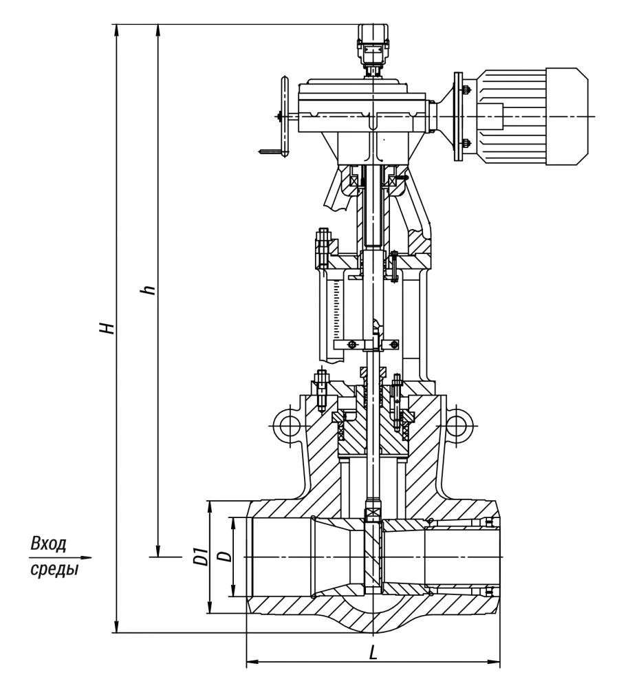 Regulating Valve 976-250-ЭбЧ for Thermal Power Applications