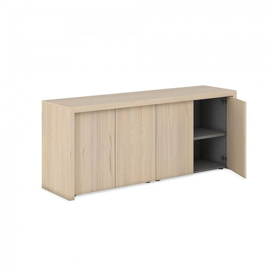 Office Storage Cabinet for Archive Documentation