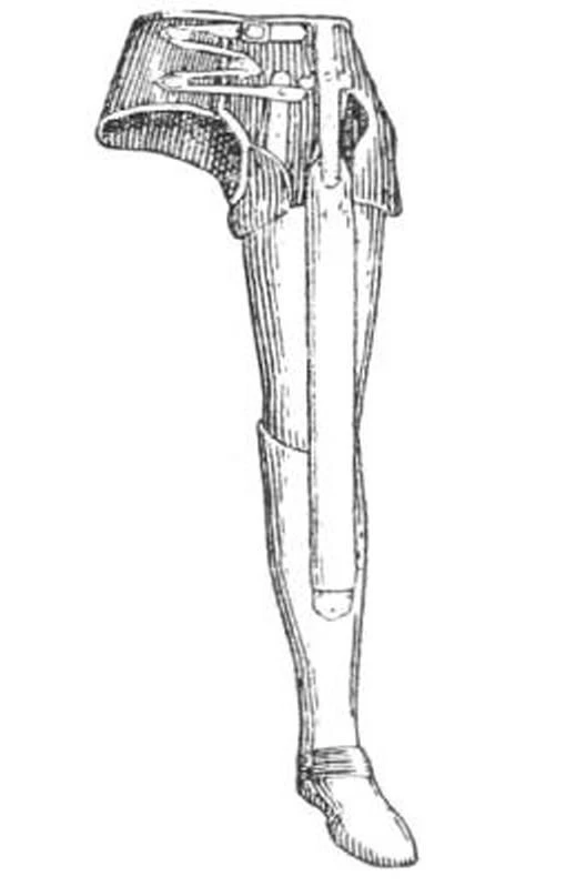 Non-modular hip disarticulation prosthesis PN8-N.1