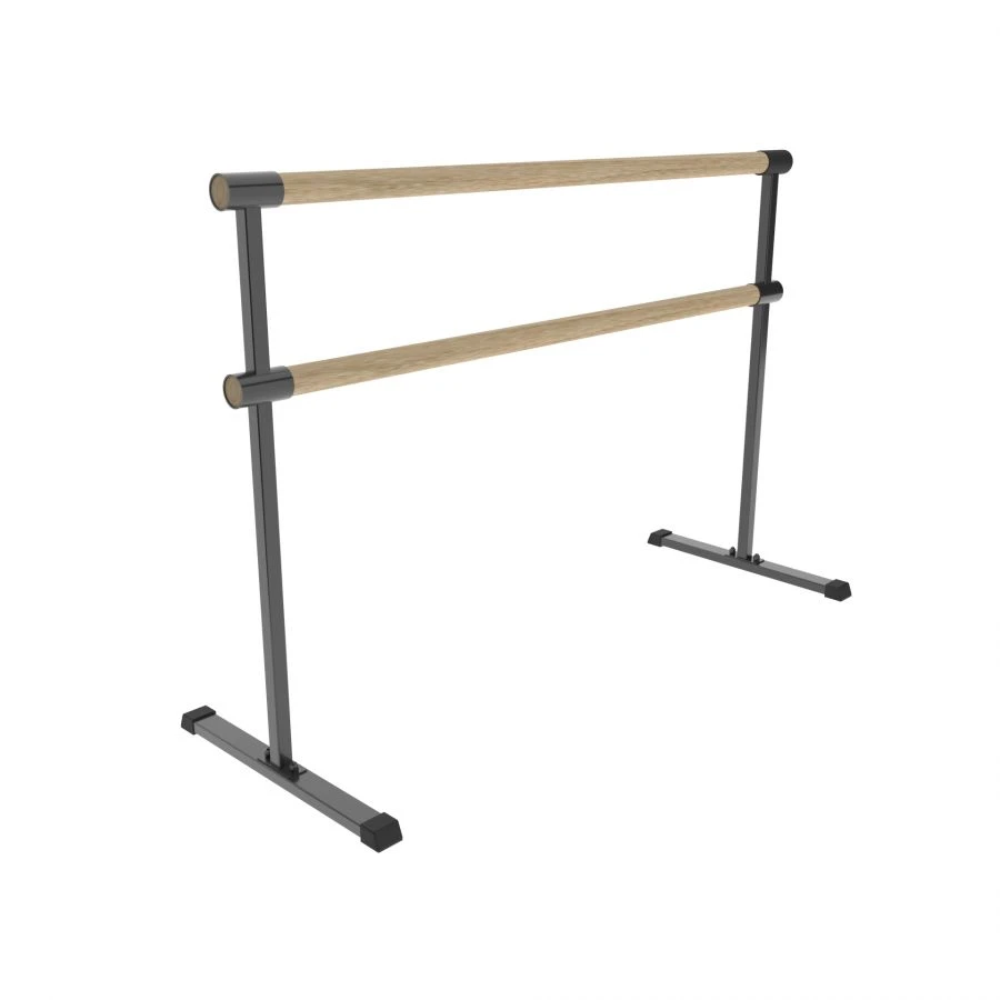Mobile 2-Row Disassemblable Euro Choreographic Studio Rack