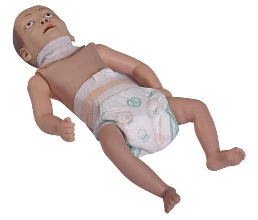 Tracheostomy Care Training Model 71
