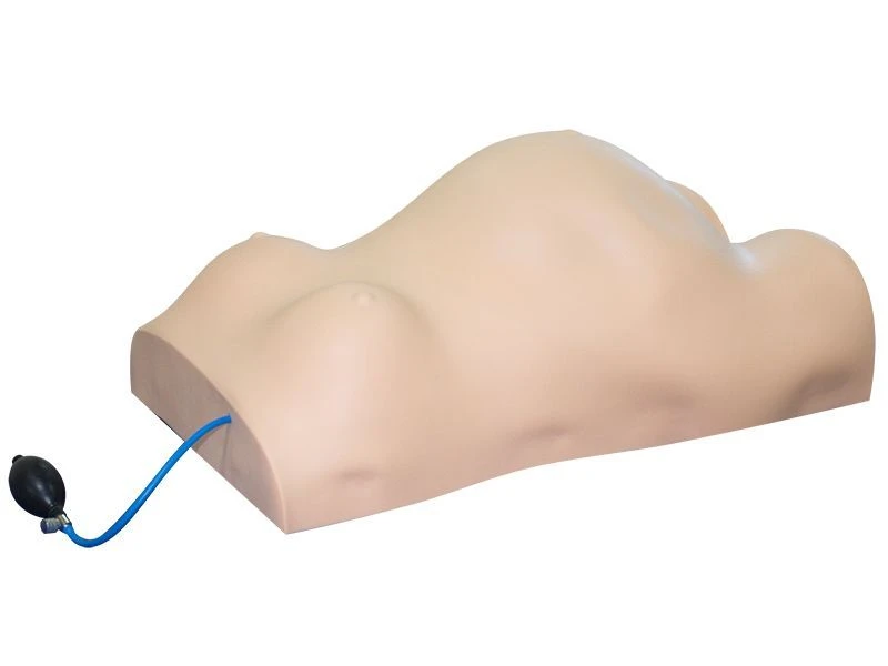Pregnant Examination Trainer - Model W-1