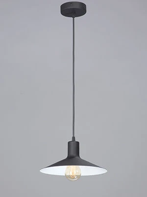 ضوء عام ثابت V4825-1/1S