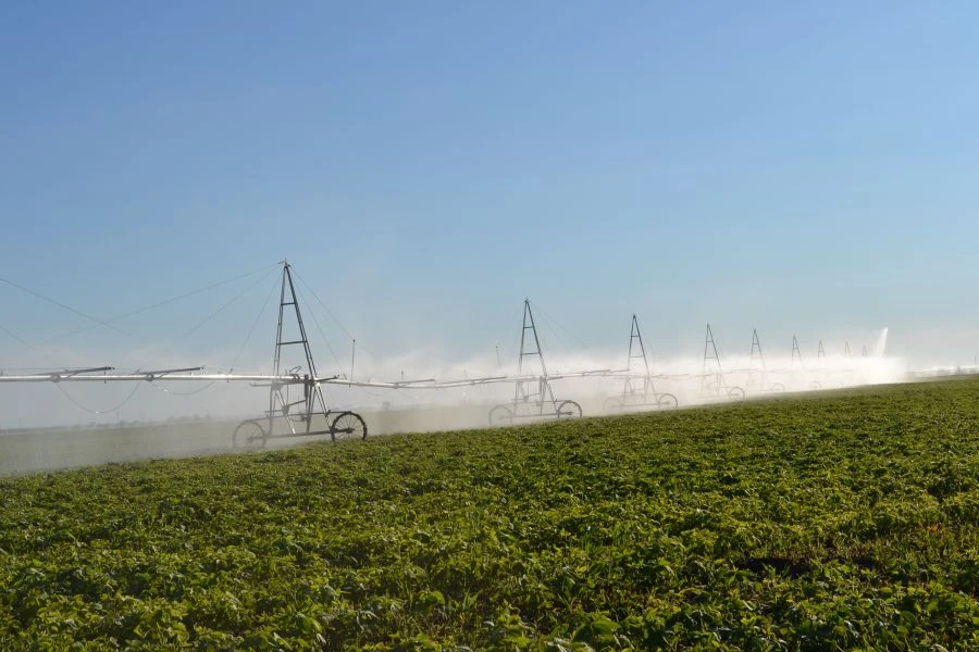 ماكينة رش "كوروفيت" الطراز DMUM-18B-518