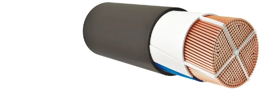 Power Cables with Plastic Insulation for Voltage up to 1 kV PvVG