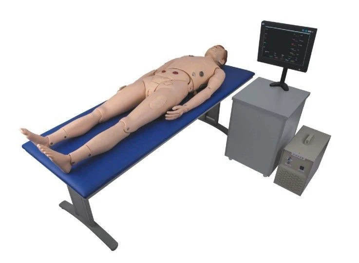 Interactive Patient Care Training System for Nurses, H3100