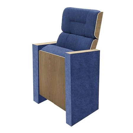 Comfortable Auditorium Chair Model Parliament Lux